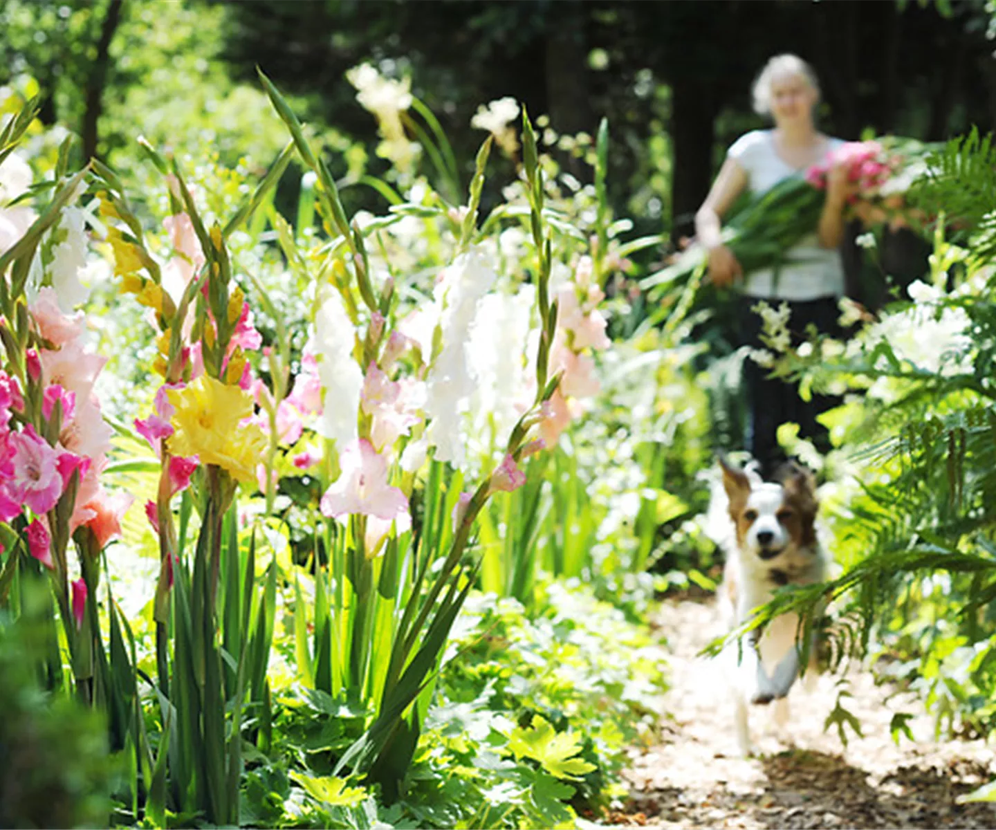 Die schönsten Blumen kommen aus dem eigenen Garten