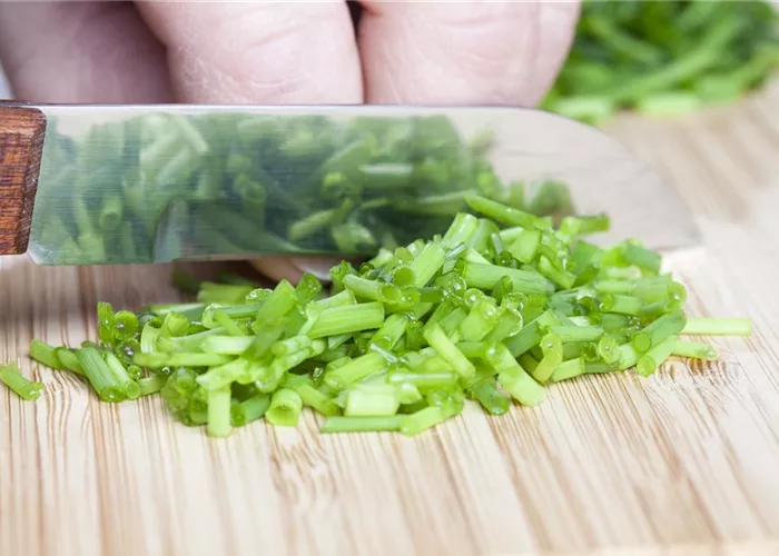 Was wäre der Küchengarten ohne frische Kräuter? Was wäre der Küchengarten ohne frische Kräuter?