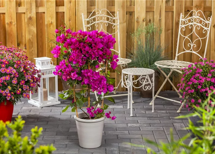 Pflastersteine zum Aufdrucken Pflastersteine zum Aufdrucken